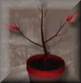 Thumbnail for version as of 01:03, June 20, 2011