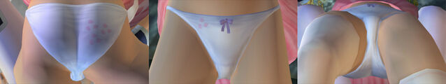 File:DOAUKasumiPantiesCos11d.jpg