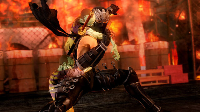 File:DOA5U Hayabusa Yaiba.jpg
