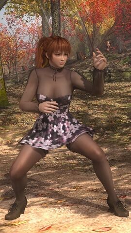 File:DOA5LR Designer Award 2015 Costume Kasumi.jpg
