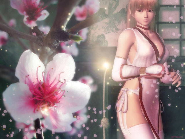 File:Doa1-1-.jpg