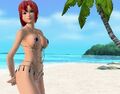 Thumbnail for version as of 17:00, January 13, 2011