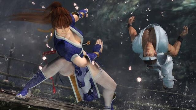 File:DOA Kasumi vs Akira 2.jpg