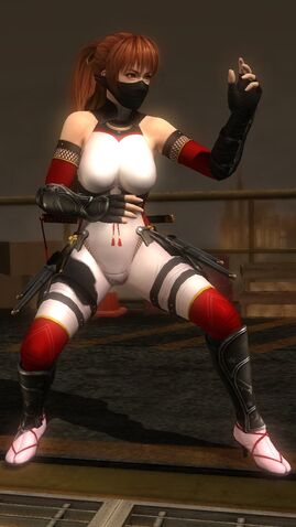 File:Ninja Clain 2015 Costume Kasumi.jpg