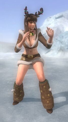 File:DOA5U costume xmas 2014 Hitomi 33.jpg