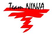 Team ninja logo