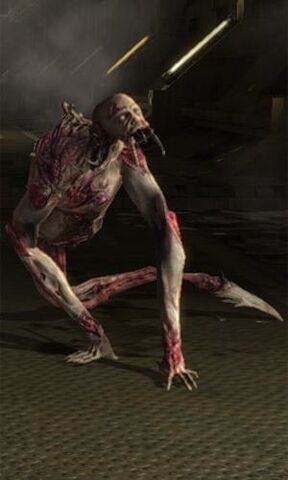 Archivo:Leaper.jpg