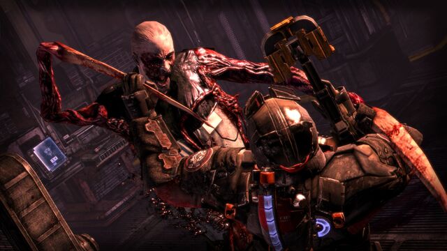 File:DS3 screenshot Slasher 02.jpg