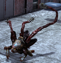 Enhanced lurker ds1