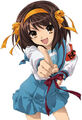 Thumbnail for version as of 23:10, February 1, 2010