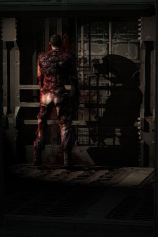 File:Survivor2.jpg