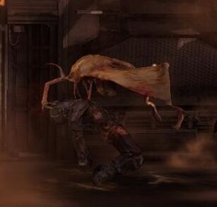 Infector