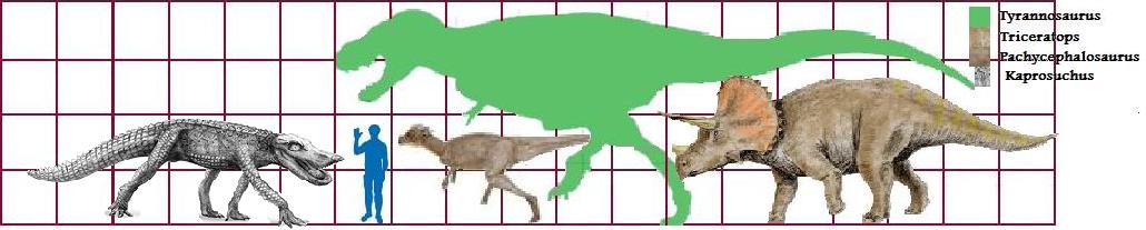 t rex scale