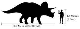 Triceratops 2