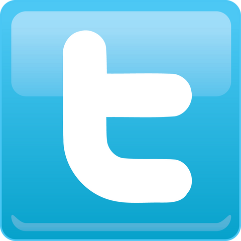 File:Twitter icon.png