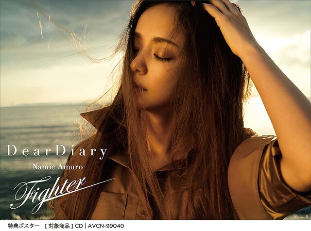 File:Dear Diary Fighter poster.jpg