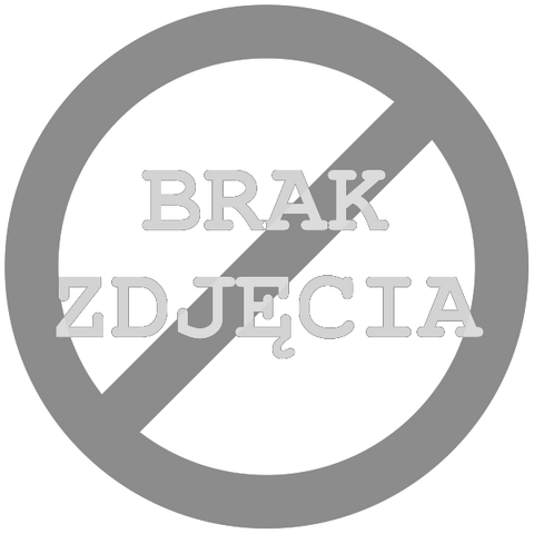 Plik:Brak.png
