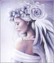 Csillia