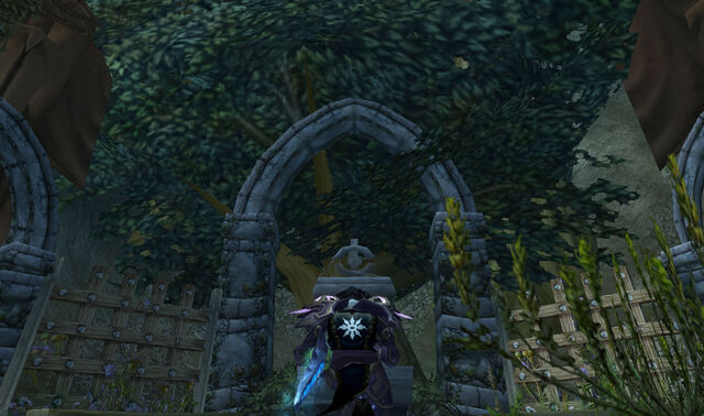 File:WoWScrnShot 122109 130011.jpg