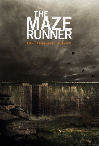 File:Maze Runner.jpg