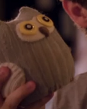 Hoot3