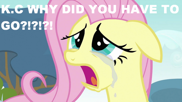 File:S2E22 Crying Fluttershy.png