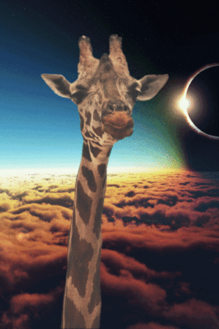 File:Tumblr mfcukqgx1c1qerpcpo1 400.gif
