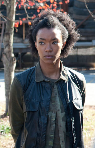 File:Sasha TWD.jpg