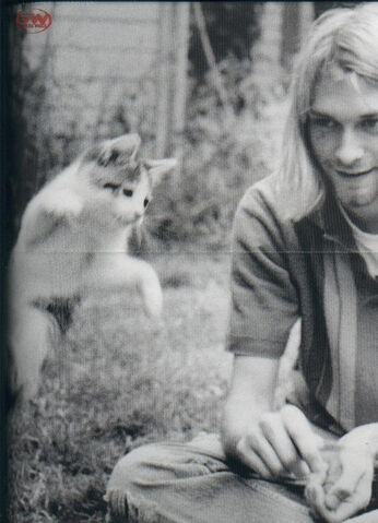 File:Kurt-cat-1.jpg