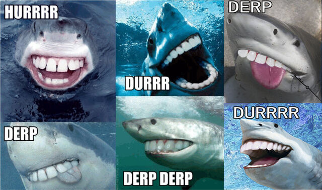 File:Herp Derp by Helrouis.jpg