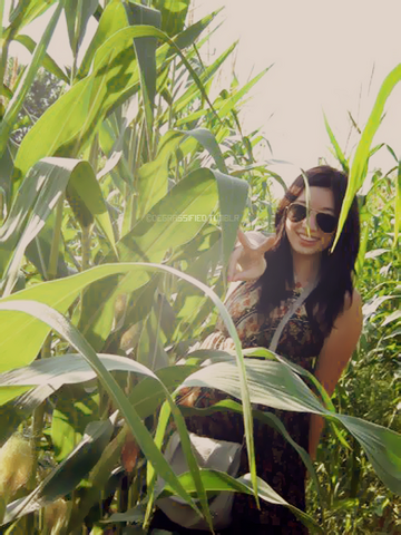File:Tumblr le7p14ZUX81qeegx8o1 500.png
