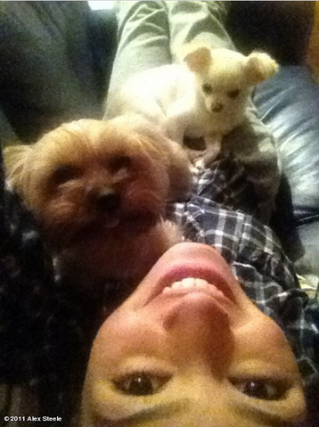 File:Puppehs.png