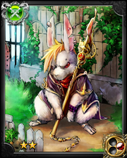 Student Rabbit Vanish NN