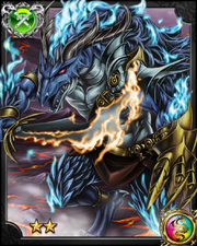 Salamander NN