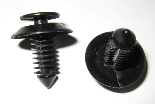 File:FirTreePair.jpg