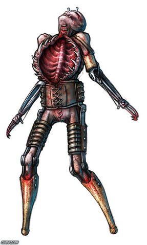 Archivo:Chestmaw.jpg
