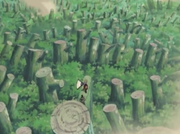 Shikavstayuya11.png