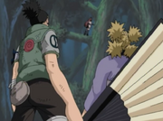 Shikavstayuya10.png