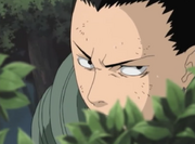 Shikavstayuya5.png