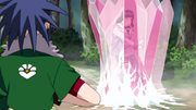 Hinatavsguren2