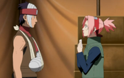 SakuraVerehrer.png