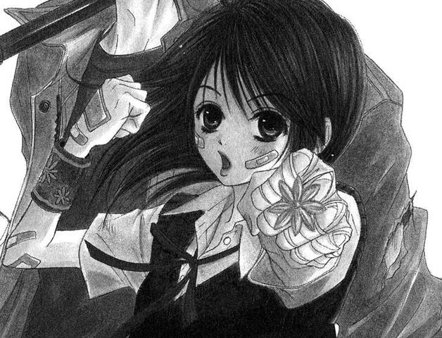 File:Teru daisy fight.jpg