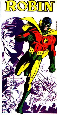 File:Robin.jpg