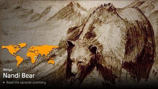 File:Nandi Bear.jpg