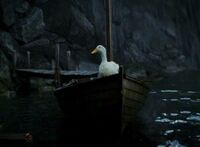 Barco do pato