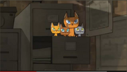 KITTENS!