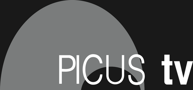File:Picus logo.png