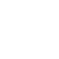 Camera Domination.png