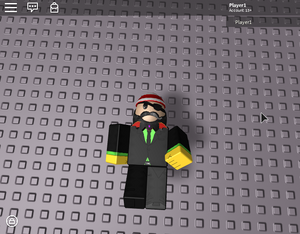 RobloxScreenShot05122017 172420997