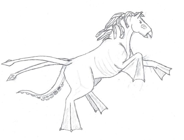 File:Kelpie 1.jpg
